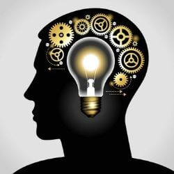 Cerebro